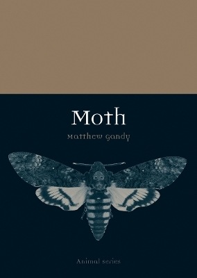 Moth - Matthew Gandy