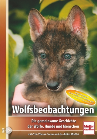 DVD Wolfsbeobachtungen