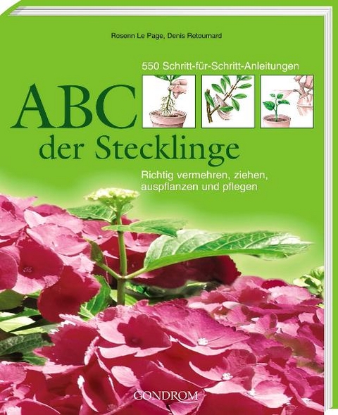 ABC der Stecklinge