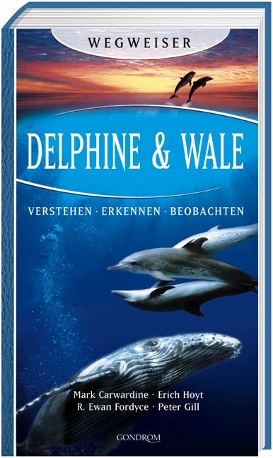 Delphine & Wale