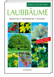Laubbäume