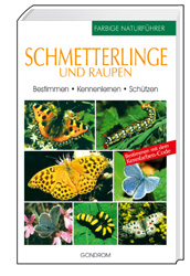 Schmetterlinge und Raupen - Thomas Ruckstuhl