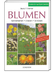 Blumen - Bruno P Kremer