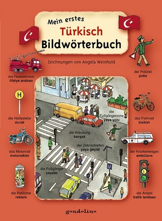 Mein erstes Türkisch-Bildwörterbuch