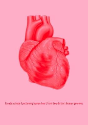 Create a Single Functioning Human Heart from Two Distinct Human Genomes - Martin John Callanan