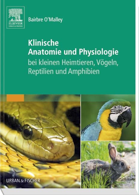 Klinische Anatomie und Physiologie bei kleinen Heimtieren, Vögeln, Reptilien und Amphibien - Bairbre O'Malley