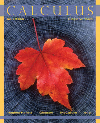 Calculus - Deborah Hughes-Hallett, Andrew M. Gleason, William G. McCallum, Daniel E. Flath, Patti Frazer Lock