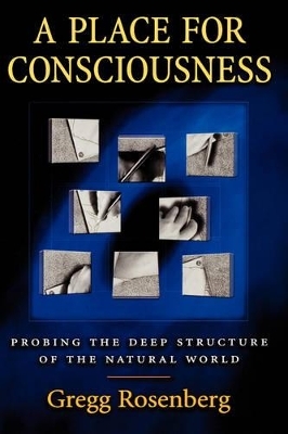 A Place for Consciousness - Gregg H. Rosenberg