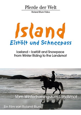 Island Eistölt und Schneepass