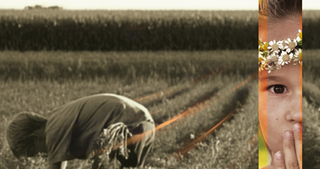 Der Feine Unterschied