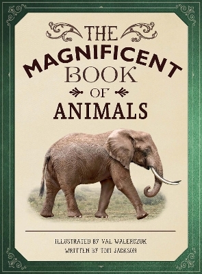 The Magnificent Book of Animals - Tom Jackson