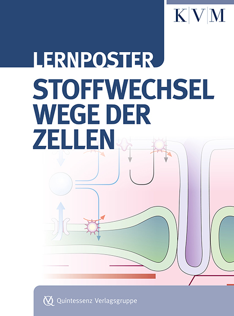 Lernposter &ndash; Stoffwechselwege der Zellen