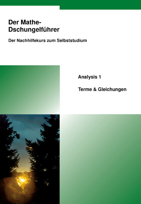 Der Mathe-Dschungelf&uuml;hrer Analysis 1 - Terme & Gleichungen - Thomas Kusserow