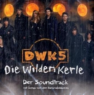 Die Wilden Kerle. Tl.5, 1 Audio-CD (Soundtrack)