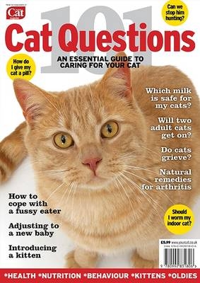 101 Cat Questions