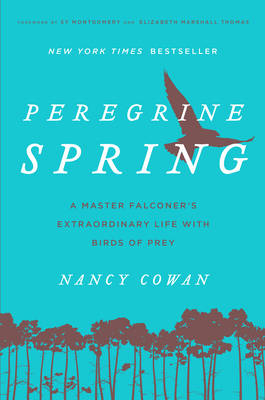 Peregrine Spring - Nancy Cowan