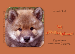 Voll auf den Hund gekommen