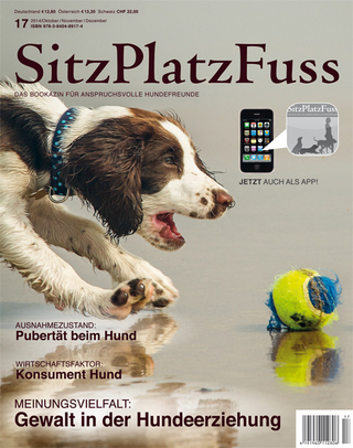 SitzPlatzFuss, Ausgabe 17