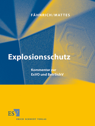 Explosionsschutz - Einzelbezug