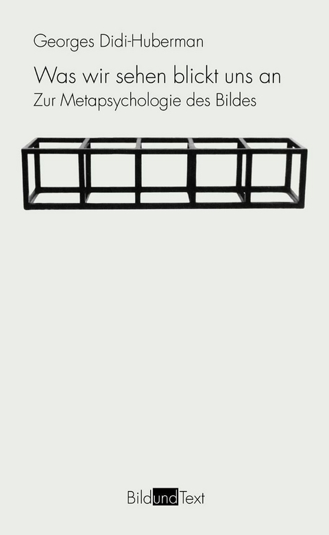 Was wir sehen blickt uns an - Georges Didi-Huberman