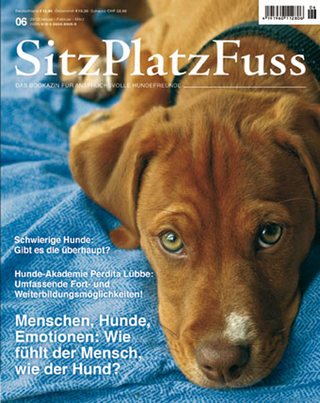 SitzPlatzFuss Ausgabe 6