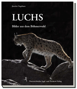 Luchs