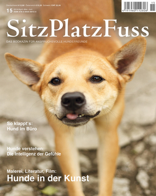 SitzPlatzFuss, Ausgabe 15