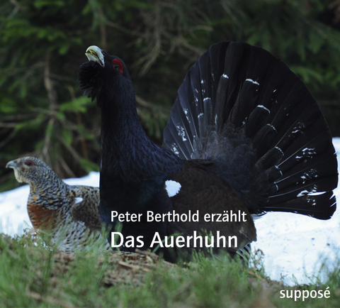 Das Auerhuhn - Peter Berthold, Klaus Sander