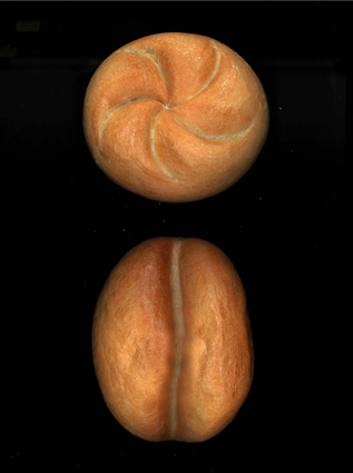 Österreichisches Grafikdesign ist unentschlossen