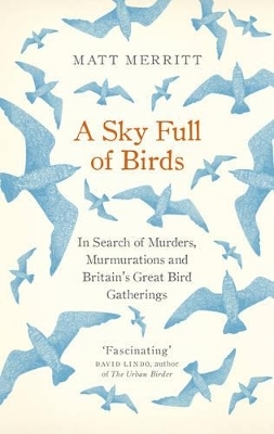 A Sky Full of Birds - Matt Merritt