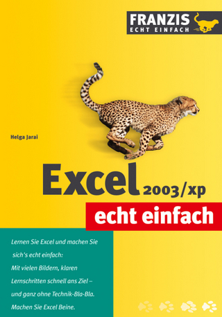 Excel 2003 /xp