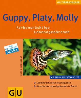 Guppy,Platy, Molly Farbenprächtige Lebendgebärende