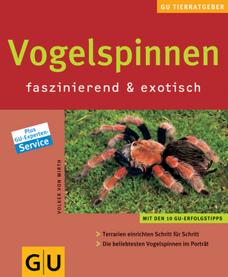 Vogelspinnen faszinierend & exotisch