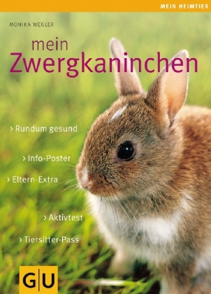 Mein Zwergkaninchen