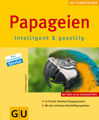 Papageien intelligent & gesellig