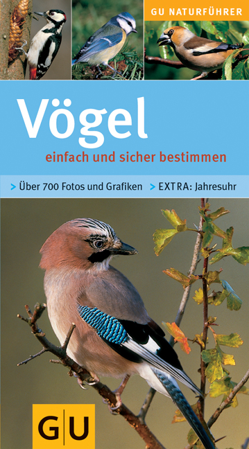 V&ouml;gel