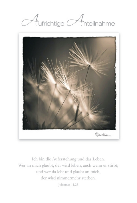 Faltkarte "Ich bin die Auferstehung" - 5 St&uuml;ck
