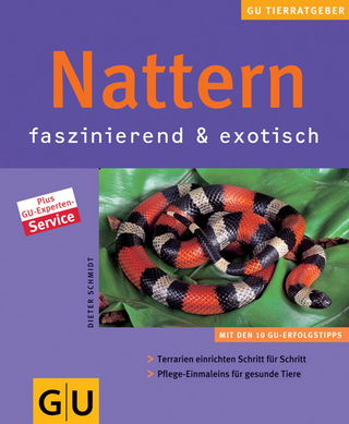 Nattern faszinierend & exotisch