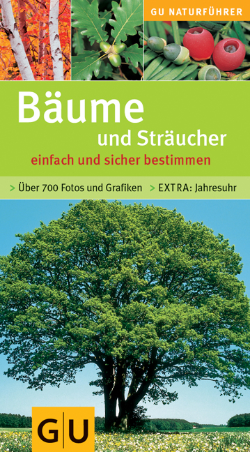 B&auml;ume und Str&auml;ucher