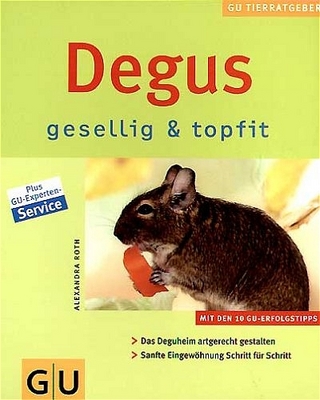 Degus gesellig & topfit
