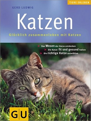 Katzen