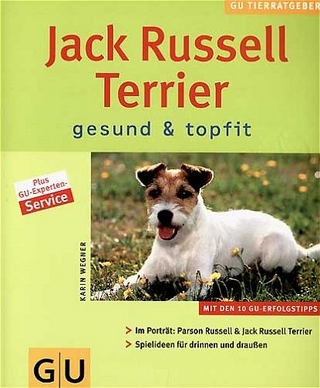 Jack Russell Terrier gesund & topfit