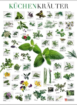 Küchenkräuter, Poster