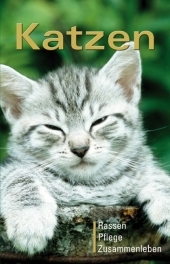Katzen