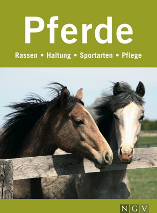 Pferde