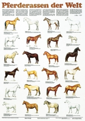 Pferderassen der Welt