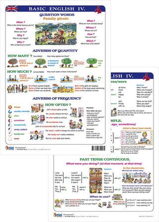 Basic English IV - Lernkarte DIN A4