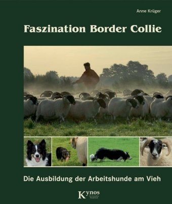 Faszination Border Collie - Anne Kr&uuml;ger