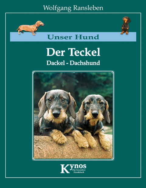 Der Teckel, Dackel, Dachshund - Wolfgang Ransleben