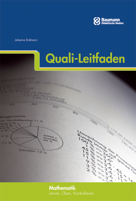 Quali-Leitfaden - Johanna Erdmann